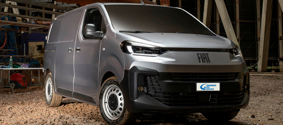 Fiat Professional Vertretung in Luzern