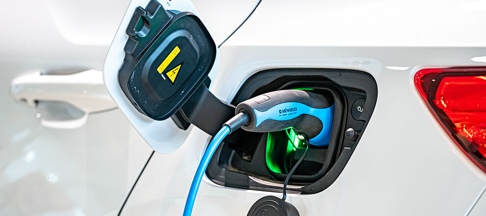 Hammer Elektrokompetenz